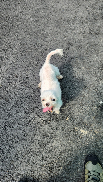 익산유기동물보호소_445468202301588