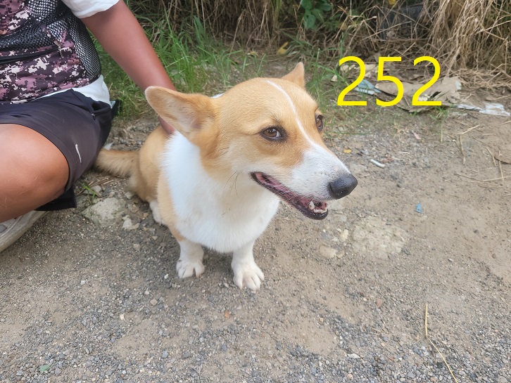 신영재동물병원_428355202300414