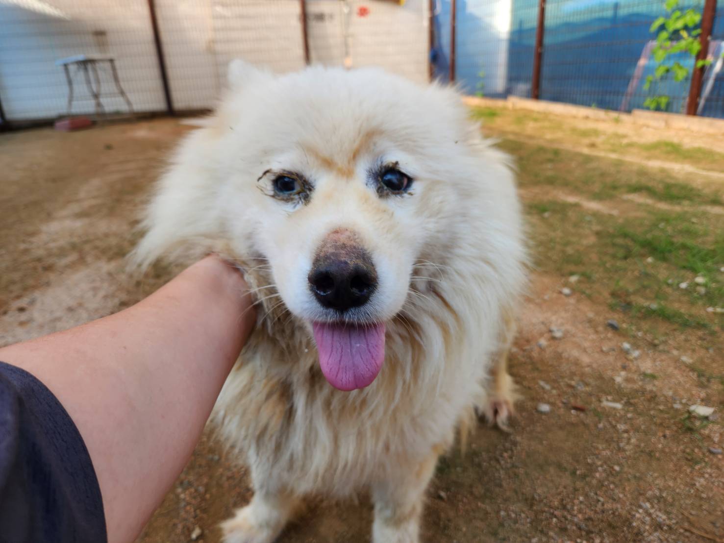 한국야생동물보호협회_441393202301417