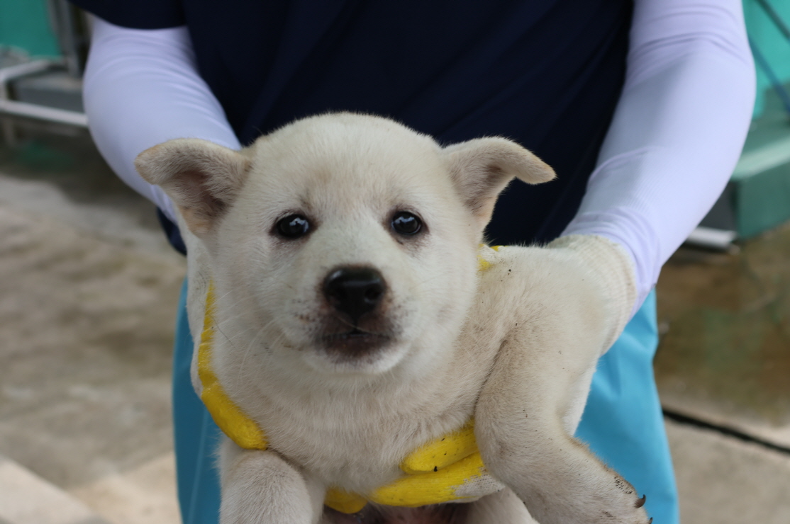 제주 동물보호센터_450650202302739