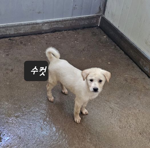 화천군농업기술센터_442431202300062