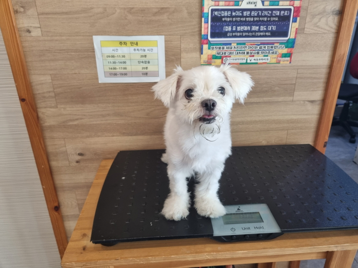 프렌즈동물병원_445464202302693
