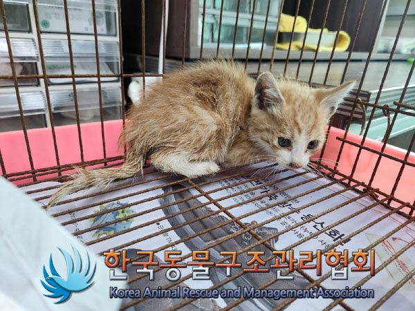 한국동물구조관리협회_411311202300631