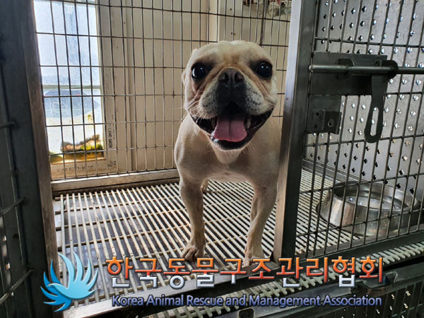 한국동물구조관리협회_411305202300404