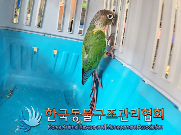 한국동물구조관리협회_411322202300485