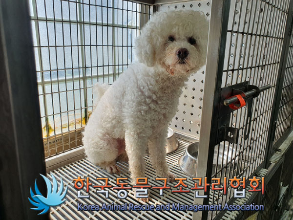 한국동물구조관리협회_411311202300630