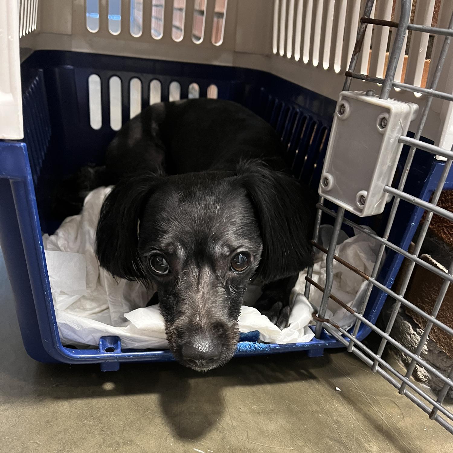 강동리본센터(reborn)_411324202300468