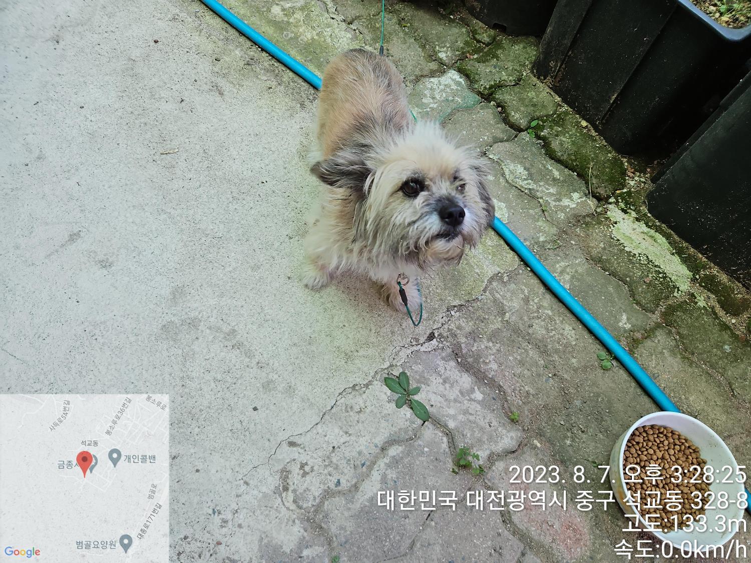 대전동물보호센터_430365202300370