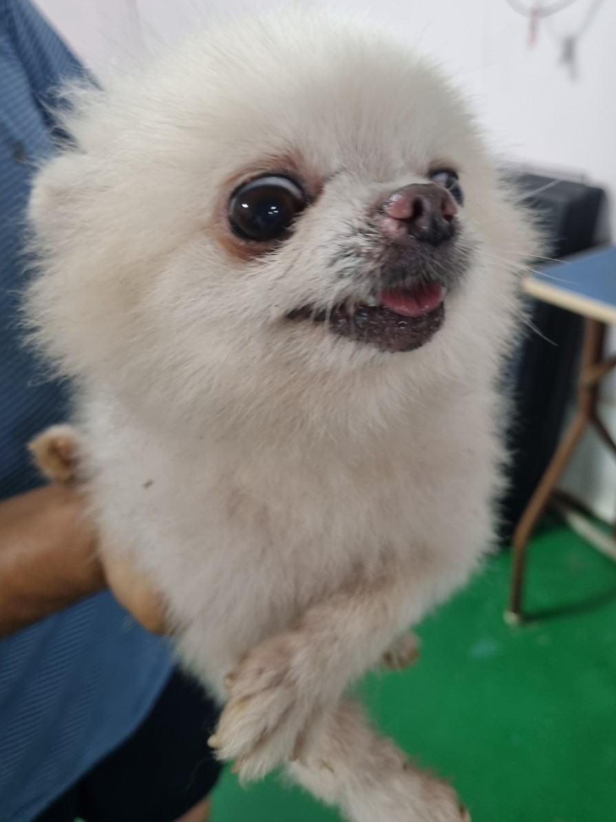 밀양시동물보호센터_448536202301692