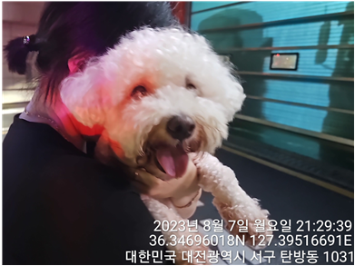 대전동물보호센터_430366202300477