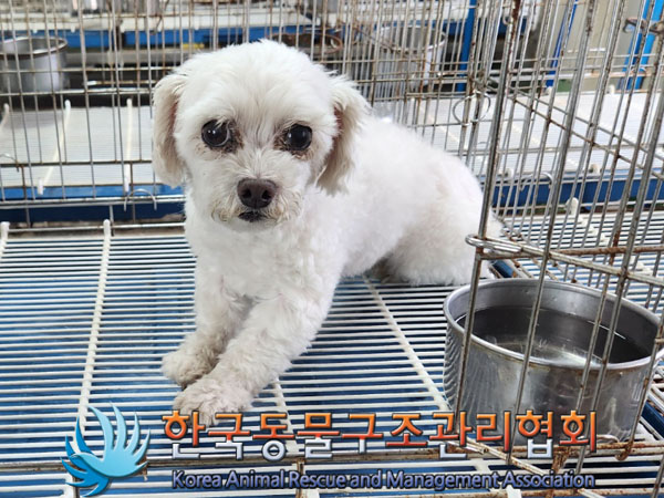 한국동물구조관리협회_441559202300832