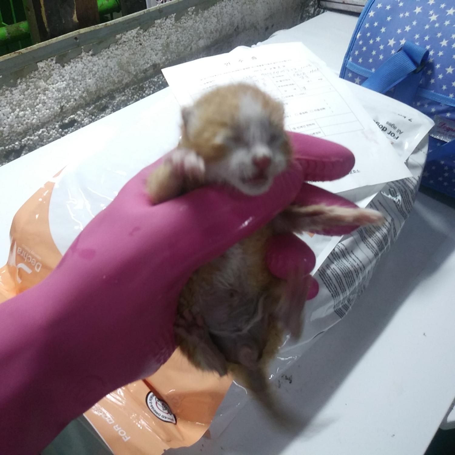 인천광역시수의사회_428353202300905