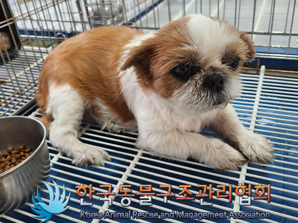 한국동물구조관리협회_411316202300526