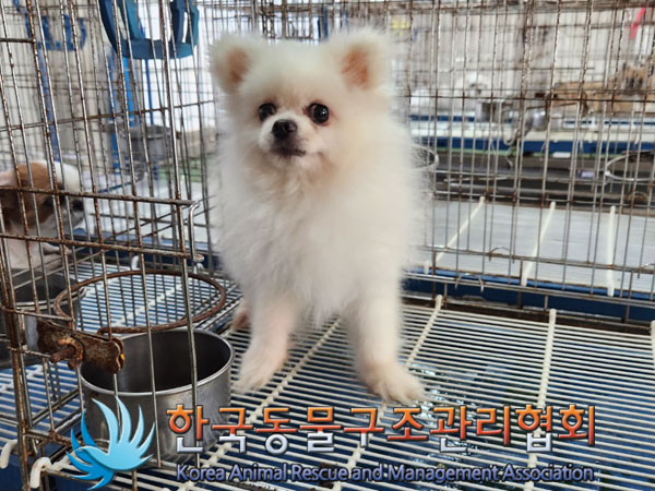 한국동물구조관리협회_411315202300499