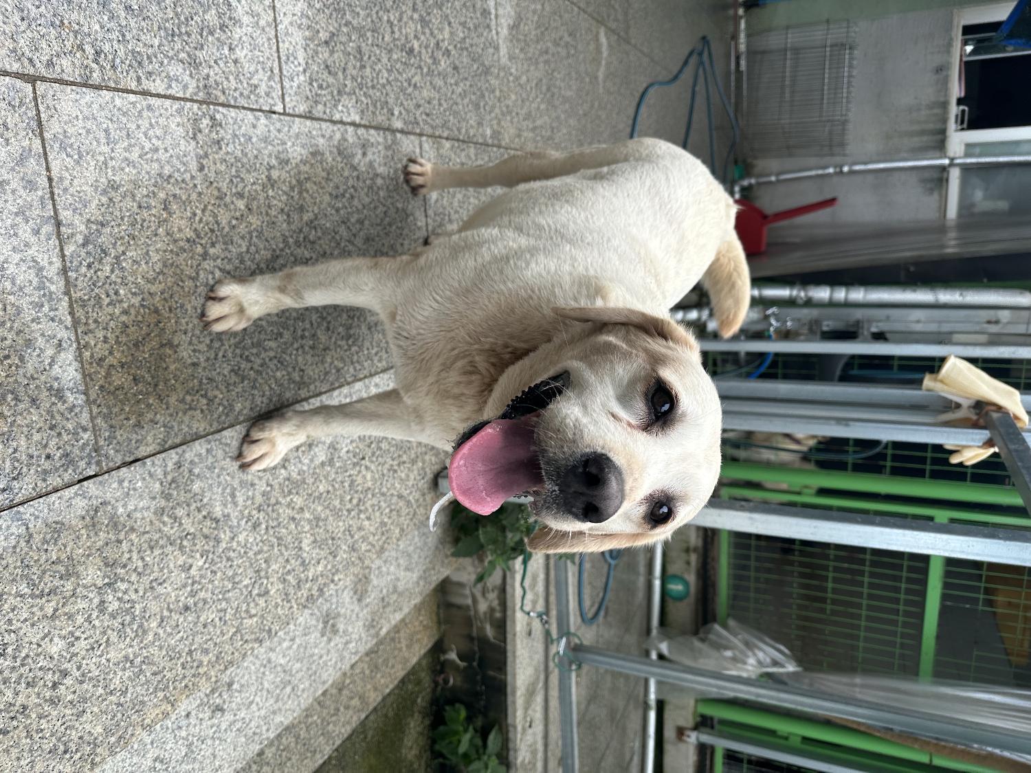 광주 동물보호소_429362202300673