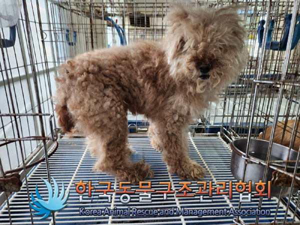 한국동물구조관리협회_411310202300353
