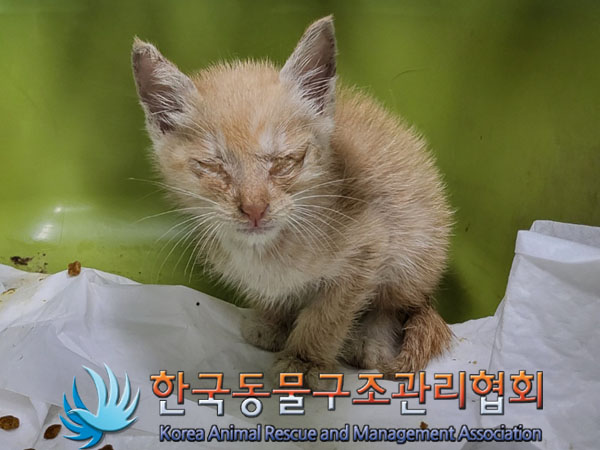 한국동물구조관리협회_411304202300499
