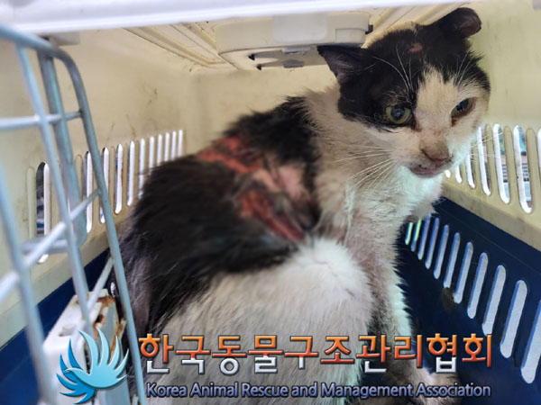 한국동물구조관리협회_411305202300406