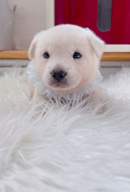 짱구네동물병원_428354202301109