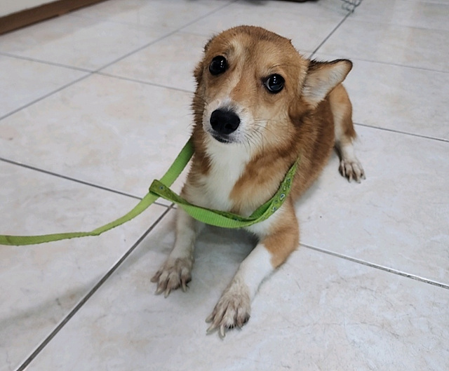 삼산종합동물병원_428354202301111