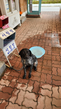 익산유기동물보호소_445468202301599
