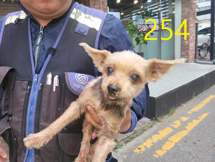 신영재동물병원_428355202300416