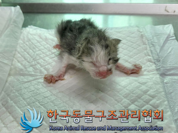 한국동물구조관리협회_411317202300214