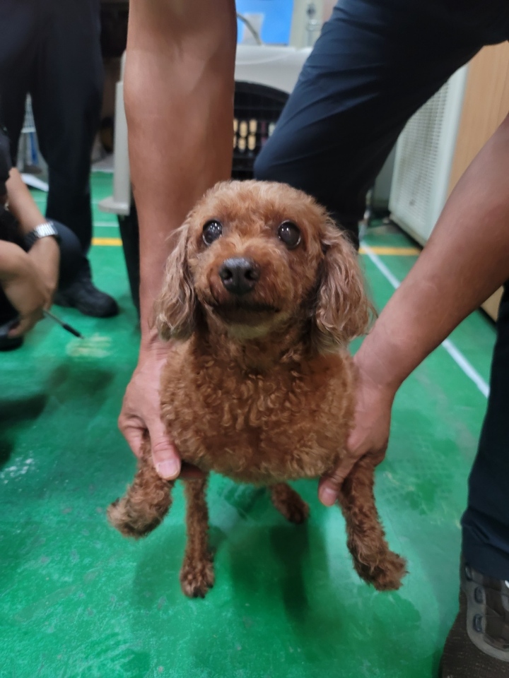 괴산증평동물보호센터_443446202300301