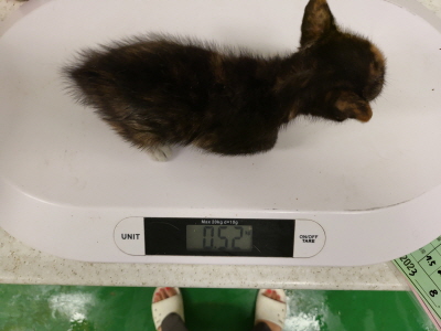 누리동물병원_426331202300257