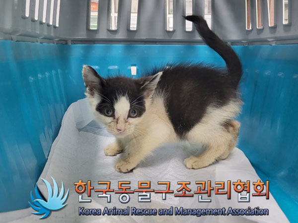 한국동물구조관리협회_411307202300299