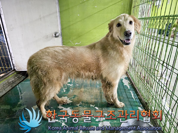 한국동물구조관리협회_411316202300530