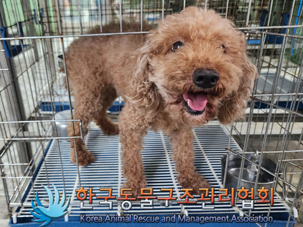 한국동물구조관리협회_441406202301147