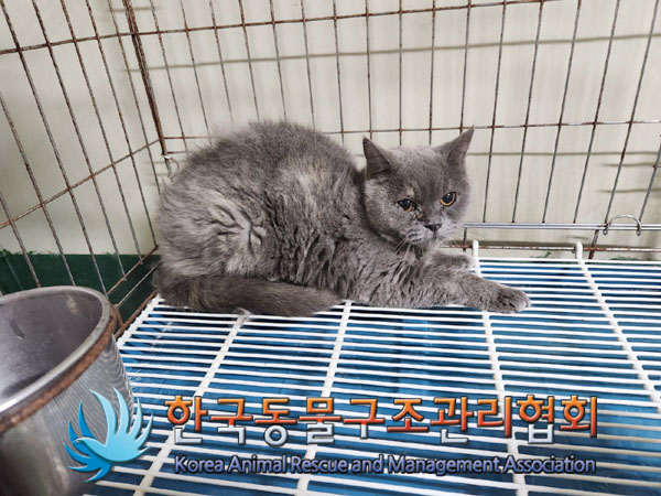 한국동물구조관리협회_411316202300531