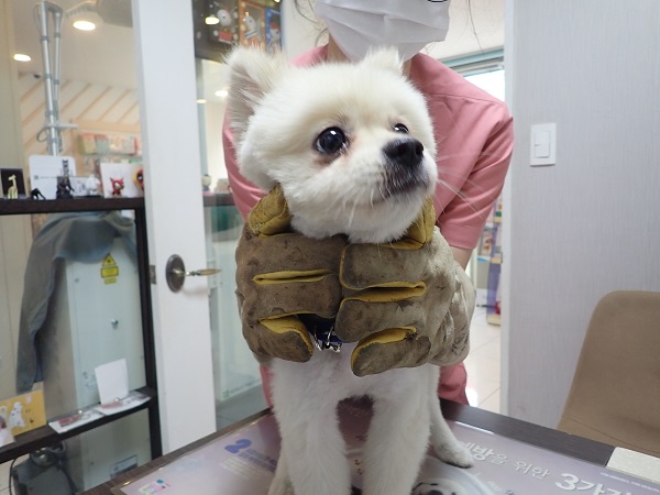 화원연합동물병원_427348202300760