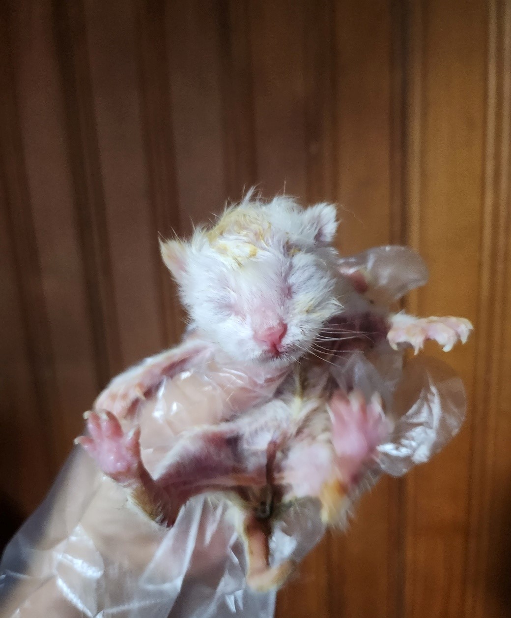 울산유기동물보호센터_431369202300581
