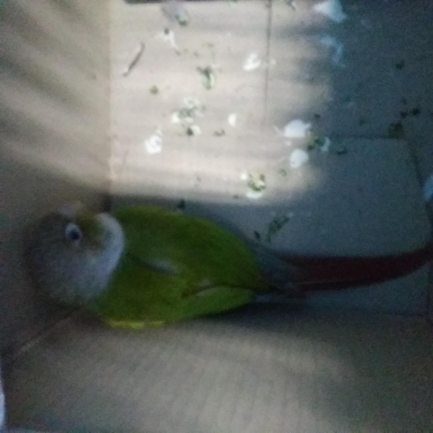 인천광역시수의사회_428353202300908
