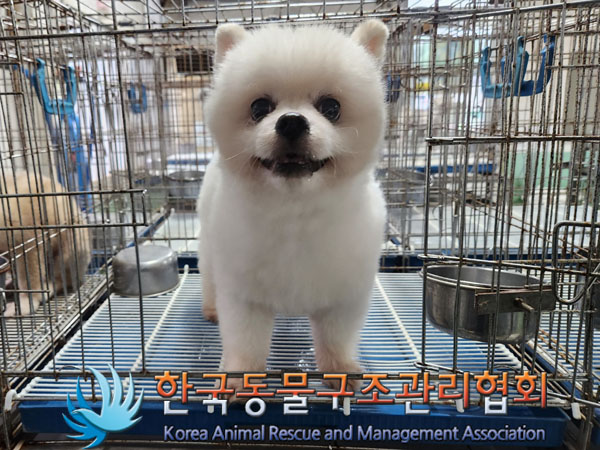한국동물구조관리협회_411318202300326