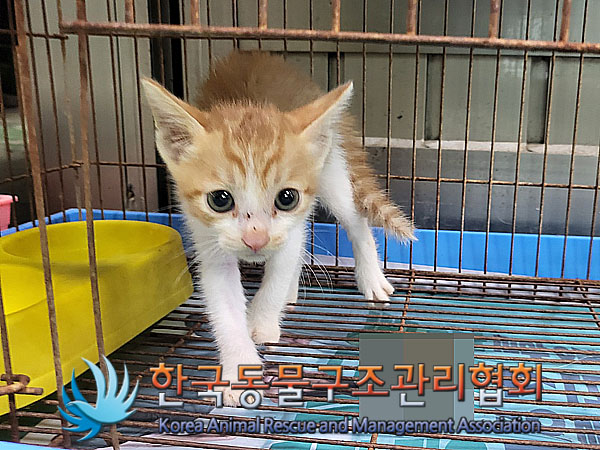 한국동물구조관리협회_411309202300314