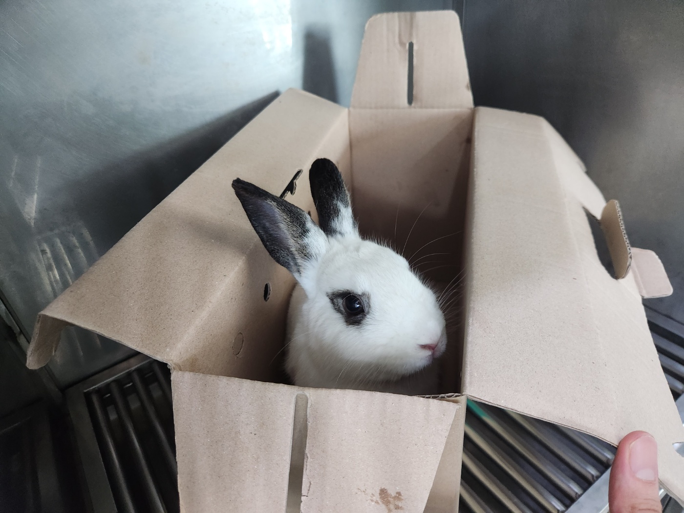 광주 동물보호소_429363202300725
