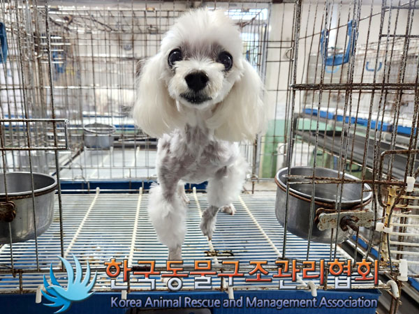 한국동물구조관리협회_411316202300532