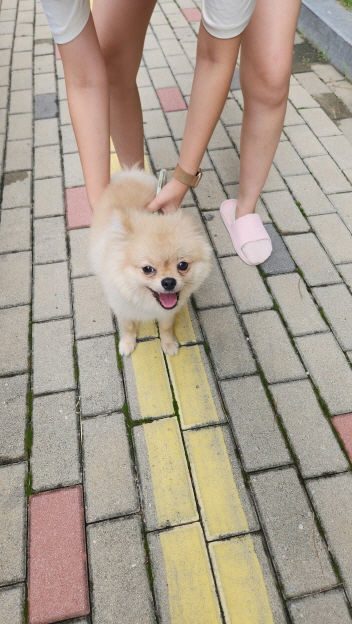 익산유기동물보호소_445468202301611