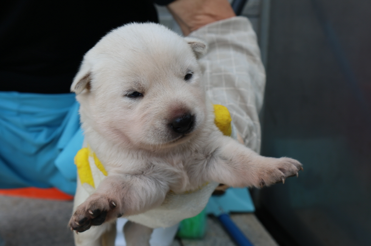 제주 동물보호센터_450650202302822