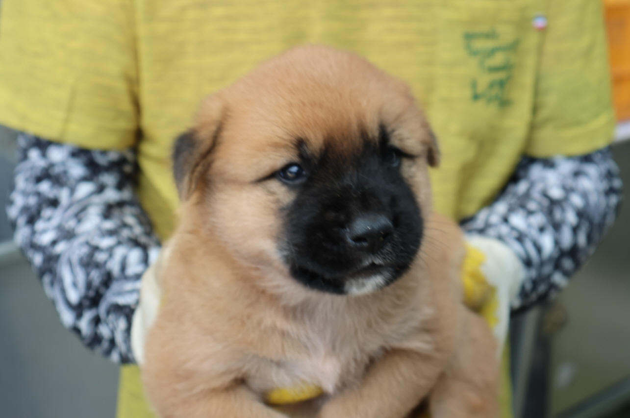 제주 동물보호센터_450650202302815