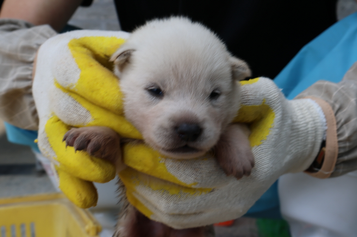 제주 동물보호센터_450650202302826