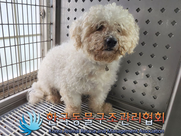 한국동물구조관리협회_441382202300531