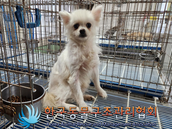 한국동물구조관리협회_411307202300300