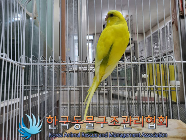 한국동물구조관리협회_411315202300500