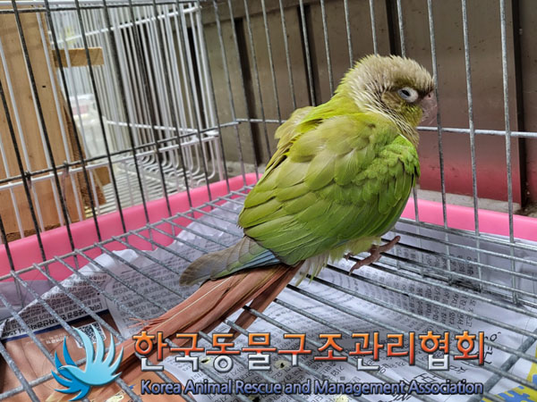 한국동물구조관리협회_411311202300633