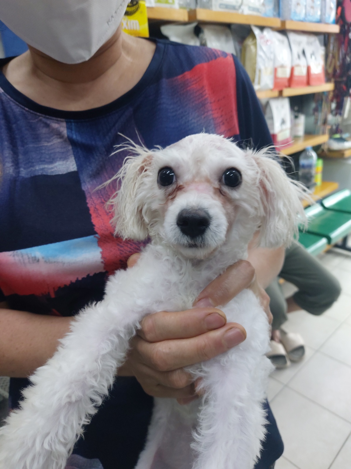 우리동물병원_428356202301307