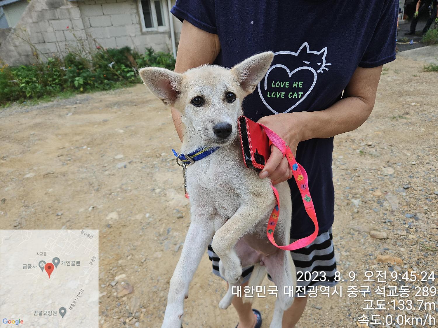 대전동물보호센터_430365202300371